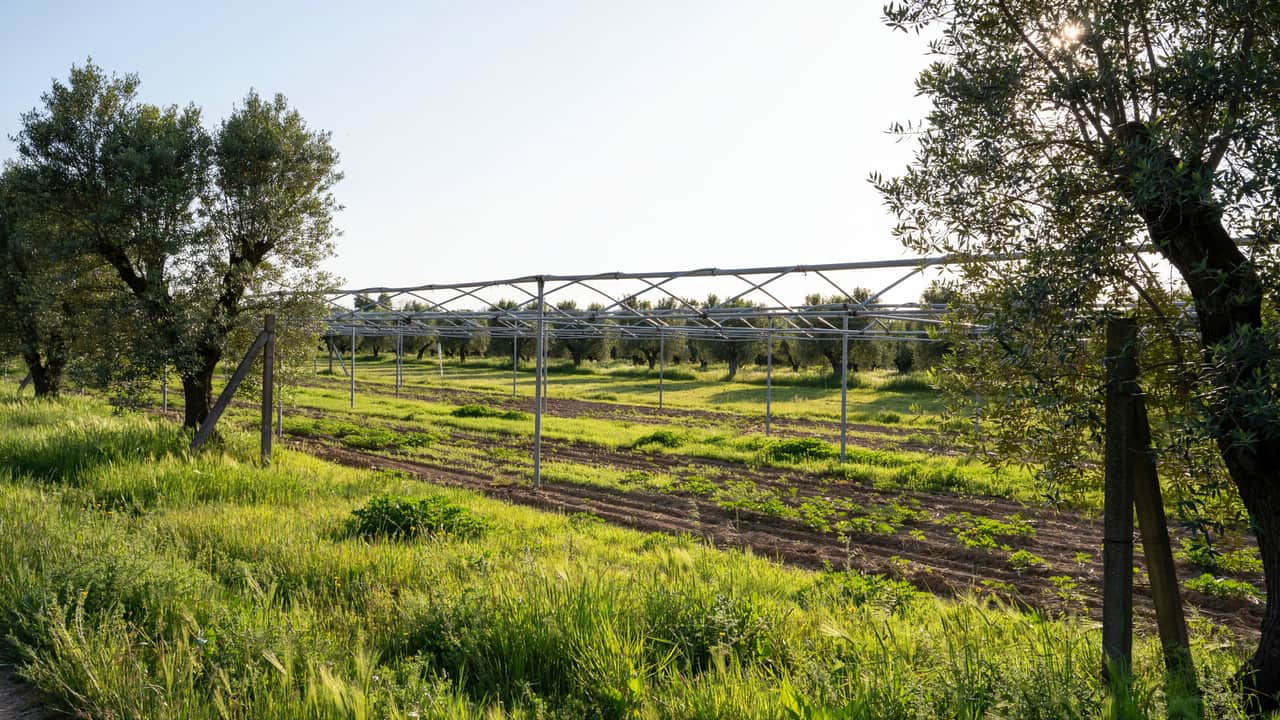 Préemption, Expropriation et Servitude : Rôle d'un Expert Foncier